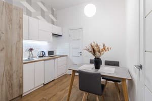 Квартира DeMarApart Chehova. Апартаменты двухместный DeMar Apart Chehova 2 (2+1) 6