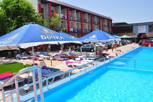 Дельфин на ст. Солнечной 11