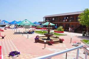 Дельфин на ст. Солнечной 13