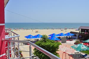 Дельфин на ст. Солнечной 17