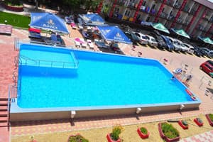 Дельфин на ст. Солнечной 18