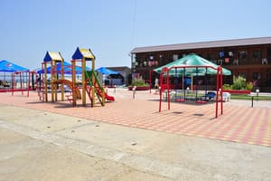 Дельфин на ст. Солнечной 19