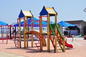 Дельфин на ст. Солнечной 20