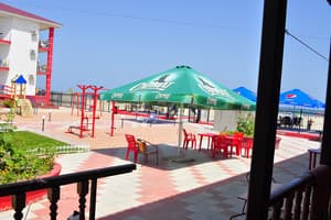 Дельфин на ст. Солнечной 24