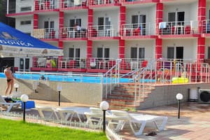 Дельфин на ст. Солнечной 26