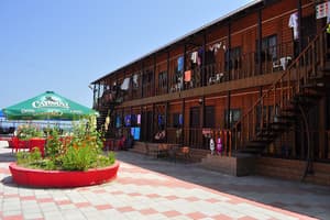 Дельфин на ст. Солнечной 32