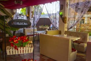 Дельфин на ст. Солнечной 34