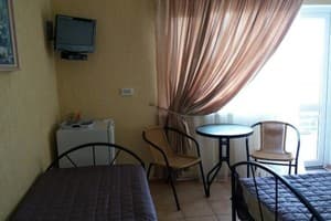 Гостиный двор Дельфин. Стандартный трехместный номер 1