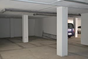 Династия 11