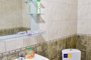 Отель Diplomat Hotel. Стандарт двухместный  6