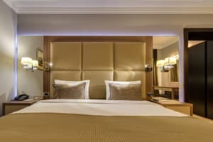 Отель Днистер. Люкс двухместный Премьер 3