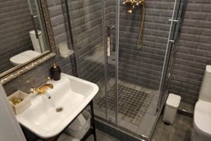 Бутик-отель Дом Рабиновича. Апартаменты двухместный Mademausel Claire 13