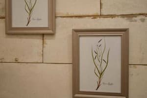 Бутик-отель Дом Рабиновича. Апартаменты двухместный Scientist 3