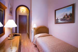 Отель Domus Hotel - 1. Стандарт одноместный  1