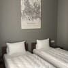 Отель Dynamo Hotel. Стандарт двухместный без балкона 13