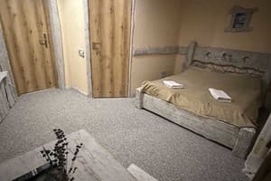 Парк-отель Eco AQUARIUS Family Hotel. Стандарт двухместный  3