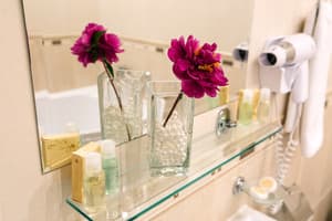 Отель Эдем. Полулюкс двухместный  7