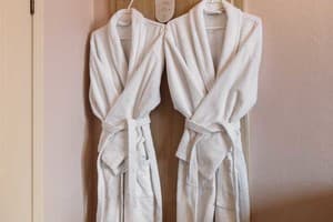 Отель Екатерина II. Полулюкс двухместный (Твин) 3