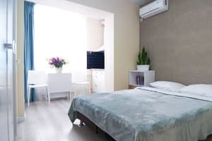 Квартира Еко студія на Залізничному вокзалі. Стандарт двухместный Еко студія 9