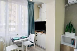 Квартира Еко студія на Залізничному вокзалі. Стандарт двухместный Еко студія 8