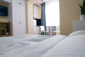 Квартира Еко студія на Залізничному вокзалі. Стандарт двухместный Еко студія 12