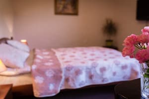 Отель Фазенда на Гончарах ( Fazenda na Goncharakh). Делюкс двухместный  2