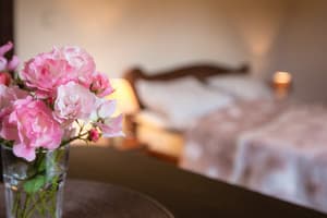 Отель Фазенда на Гончарах ( Fazenda na Goncharakh). Делюкс двухместный  3