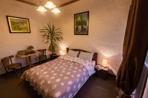 Отель Фазенда на Гончарах ( Fazenda na Goncharakh). Делюкс двухместный с балконом 1