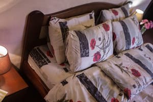 Отель Фазенда на Гончарах ( Fazenda na Goncharakh). Улучшенный трехместный  5