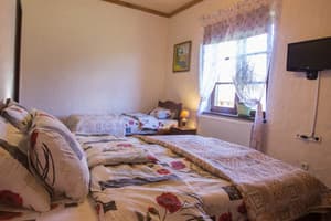 Отель Фазенда на Гончарах ( Fazenda na Goncharakh). Улучшенный трехместный  4