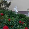Феникс 16