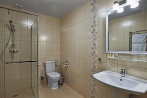 Отель Fenix Town. Делюкс двухместный  2