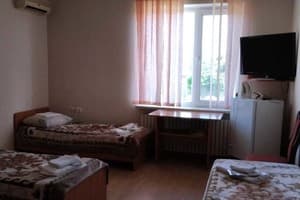 Отель Фермер. Стандарт трехместный  1