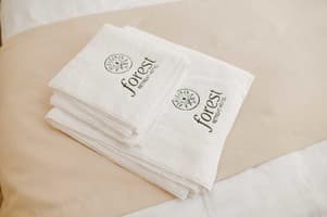 Рекреационный комплекс Forest Retreat Center. Апартаменты 6-местный Forest Пентхаус 11