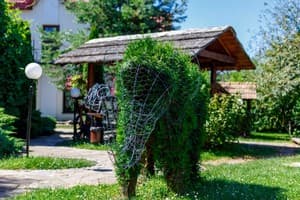 Галицька корона 32