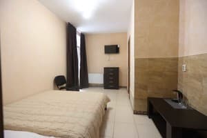 Отель Гора. Стандарт двухместный  8