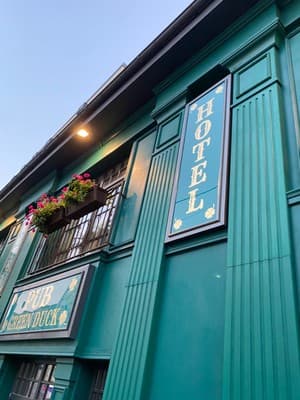 Отель Green Duck Hotel