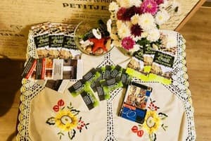 Green Street Hostel 10