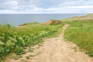 Guest House Shafran 8