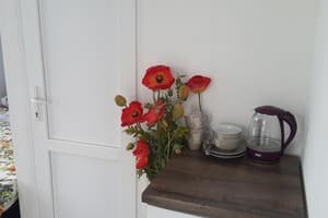 Гостиный двор Guest House Shafran. Стандарт двухместный Украинский 2+1 1