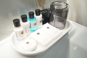 Гостинично-ресторанный комплекс Hide Park. Делюкс двухместный  13