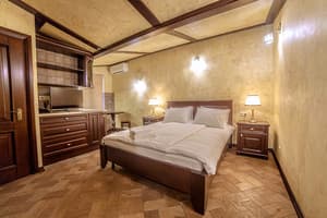 Апарт-отель Horowitz. Студио двухместный  6