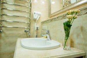 Апарт-отель Horowitz. Улучшенный двухместный Лофт 15