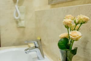 Апарт-отель Horowitz. Улучшенный двухместный Лофт 24