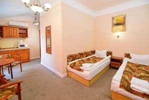 Отель Ирена. Полулюкс двухместный студио (Twin Bed) 1