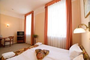 Отель Ирена. Стандарт двухместный (Double Room) 1