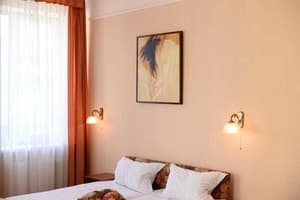 Отель Ирена. Стандарт двухместный (Double Room) 3