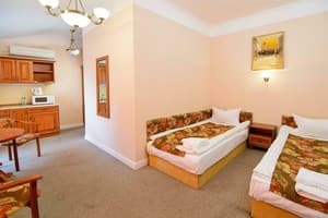 Отель Ирена. Студио двухместный (Twin Room Studio) 2