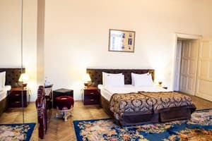 Отель Жорж. Полулюкс двухместный тематический 3