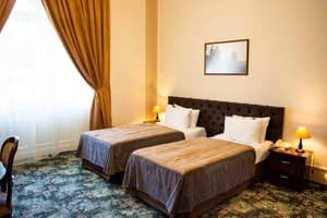 Отель Жорж. Стандарт двухместный  3